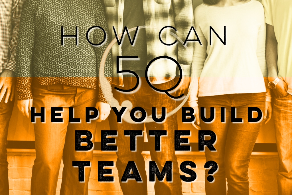 How Can 5Q Help You Build Better Teams?