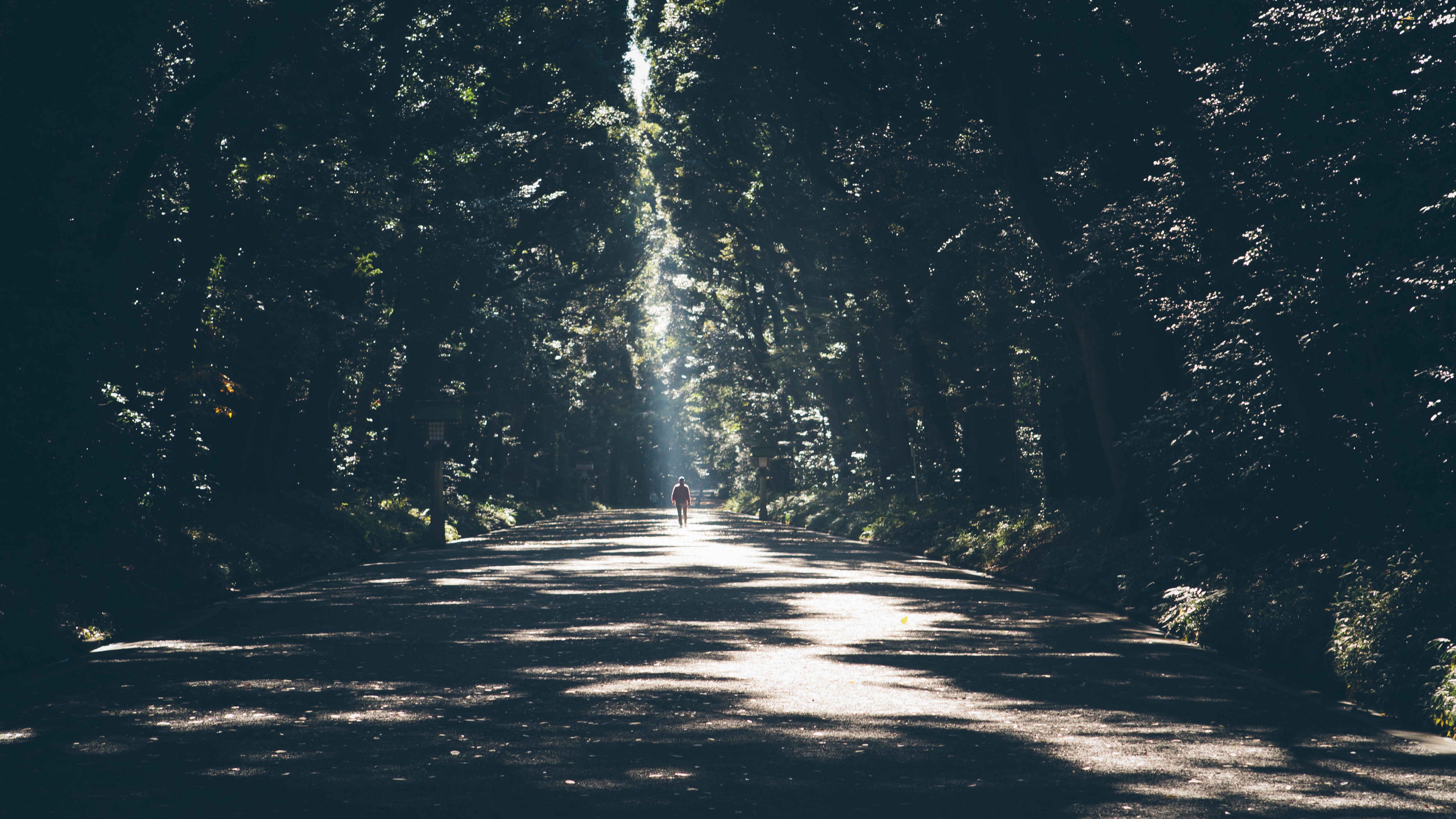 Practical Tips For The 5Q Journey
