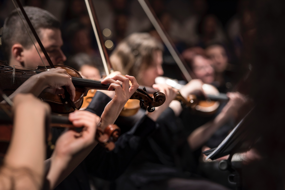 5Q: Finding Your Place In The Symphony