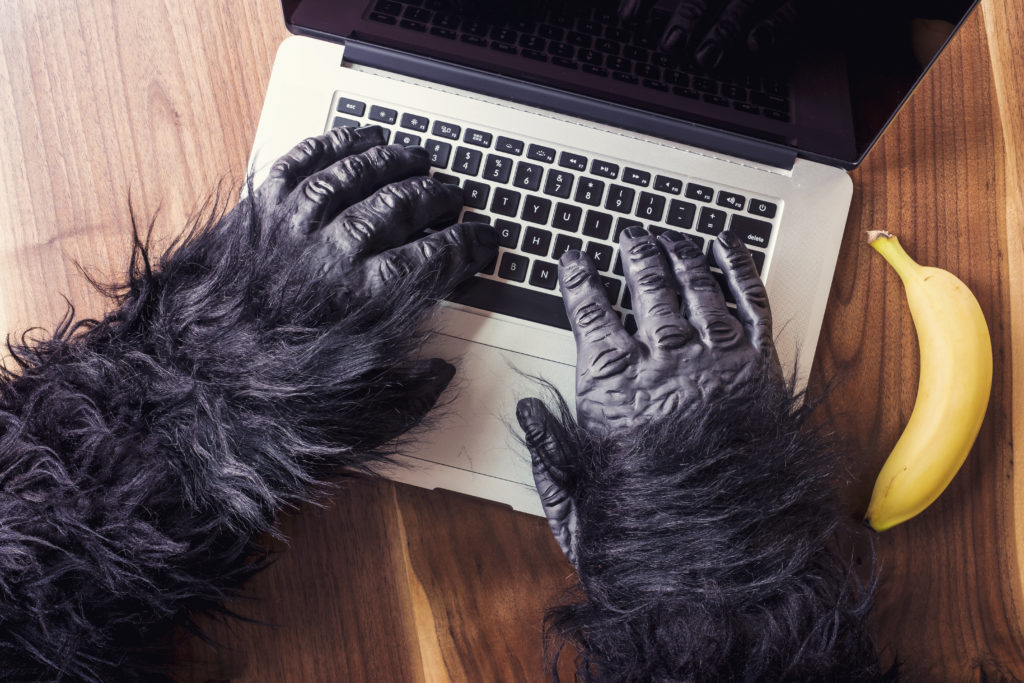 Announcing the 5Q Blog-a-Thon!