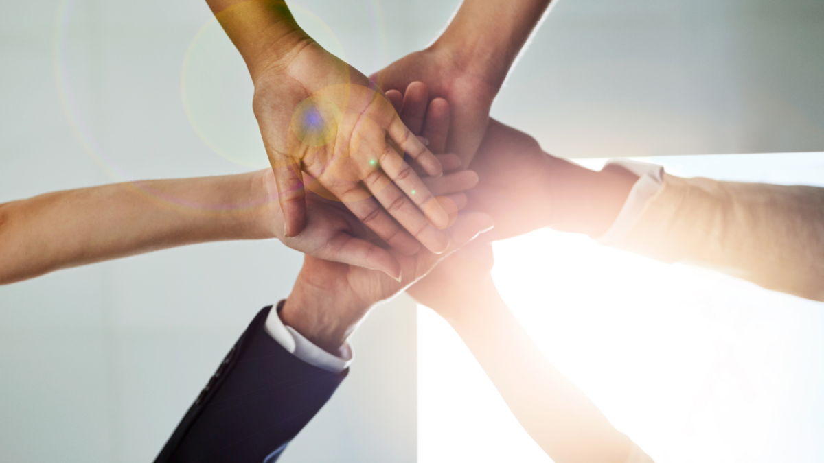 The Journey into Shared Leadership: Transparency and Tension